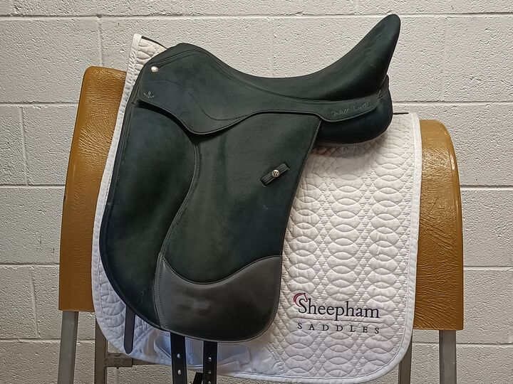 IMG20260814151213.jpg