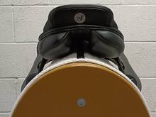 IMG20260814153111.jpg