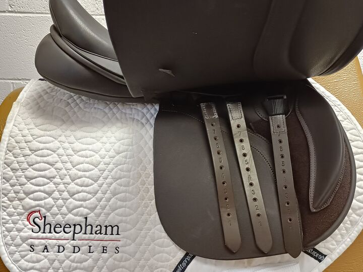 IMG20260814153836.jpg