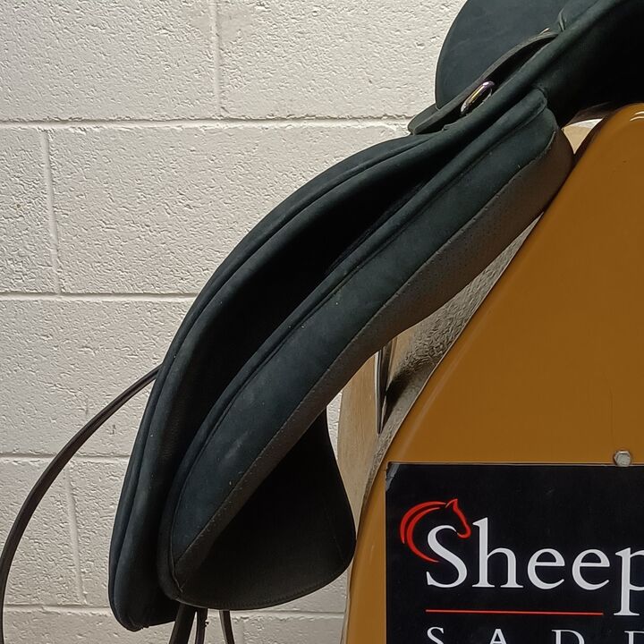 IMG20260819131741.jpg
