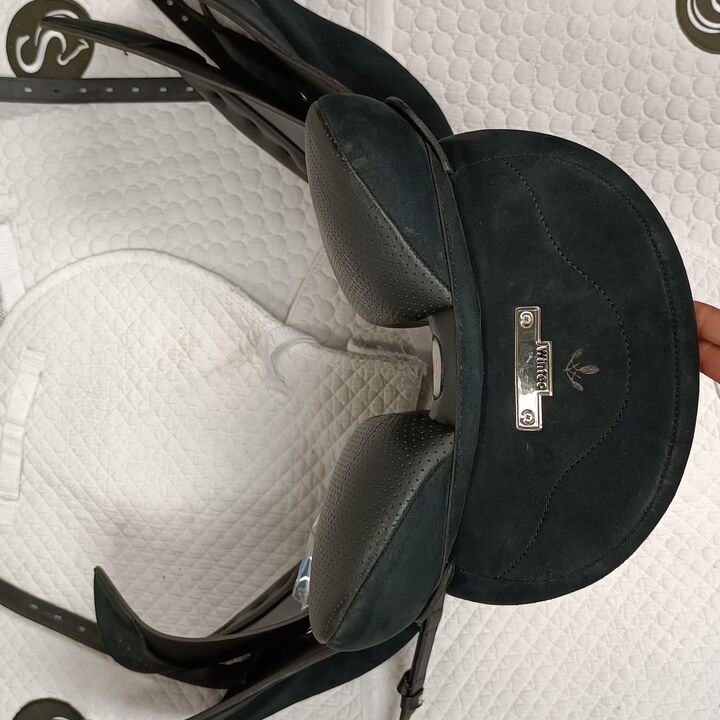 IMG20260819131802.jpg