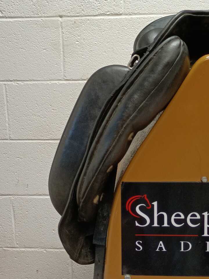 IMG20260904151015.jpg