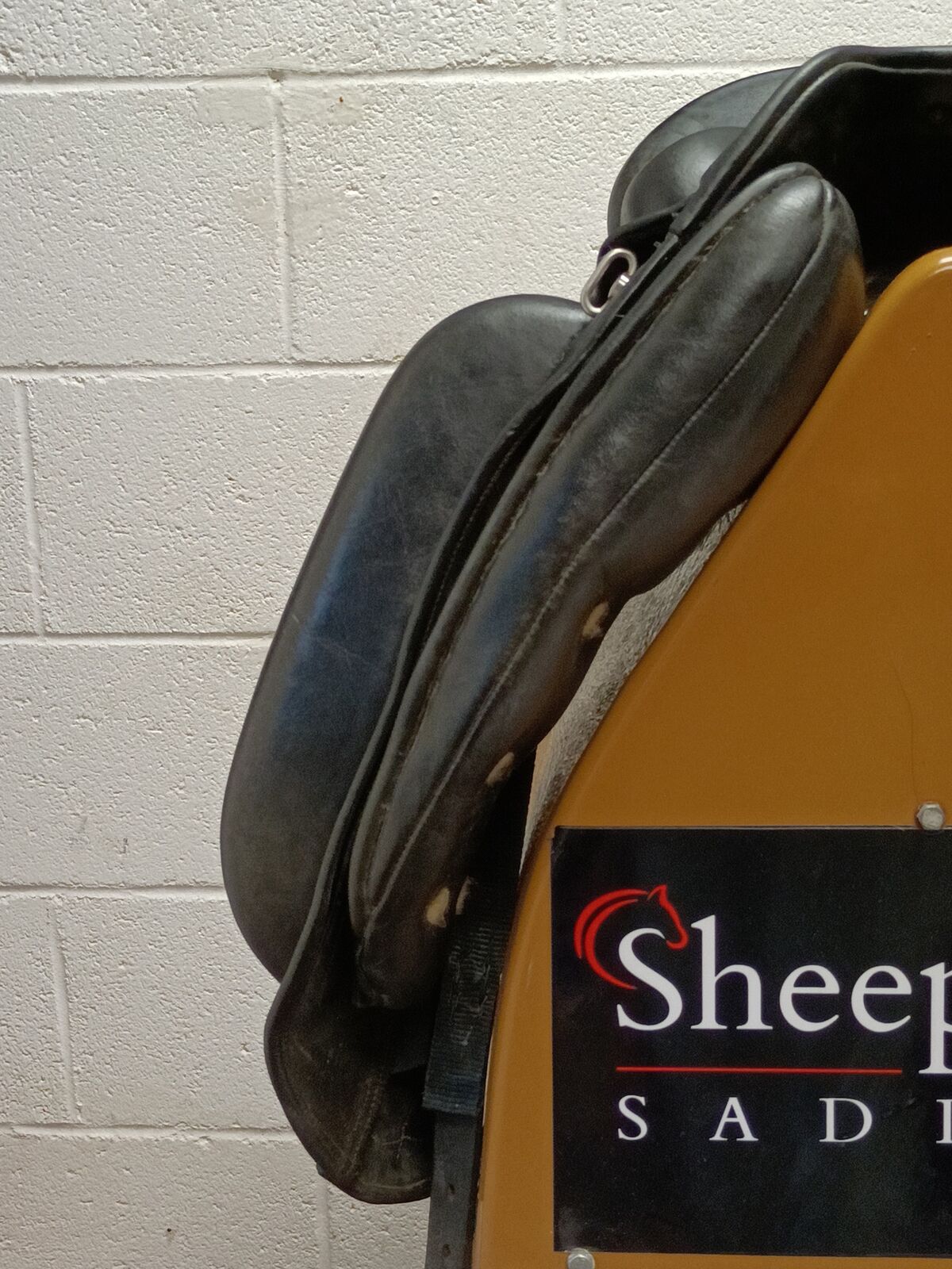 IMG20260904151015.jpg