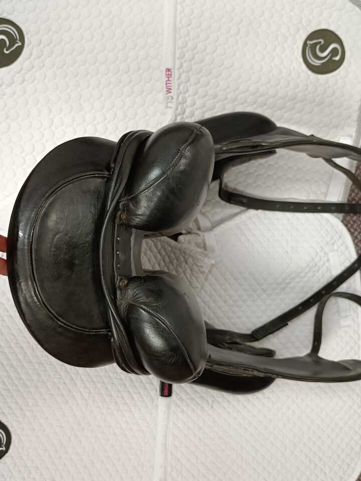 IMG20260904151047.jpg