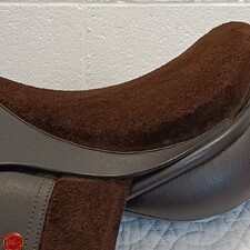 IMG20260925134515.jpg