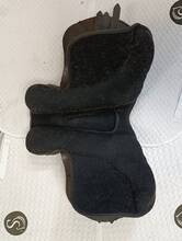 IMG20261012133343.jpg