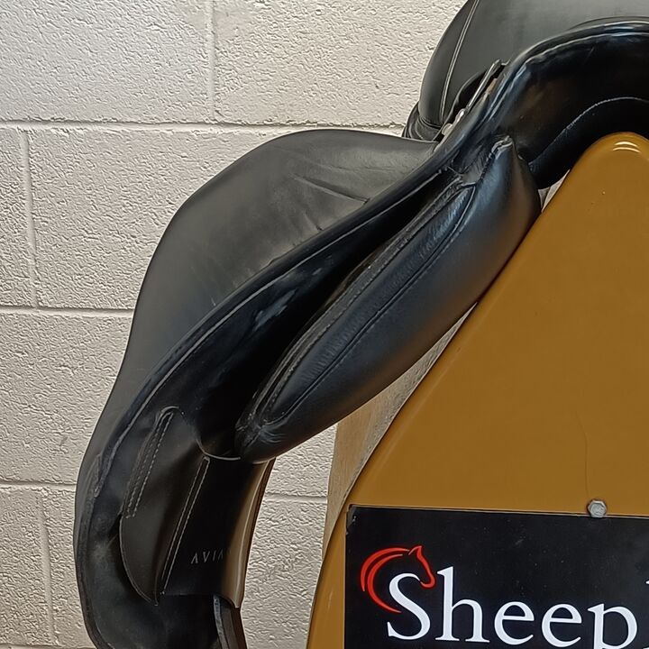 IMG20261015132824.jpg