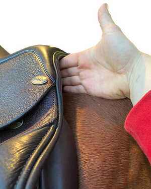 Measuring wither clearance