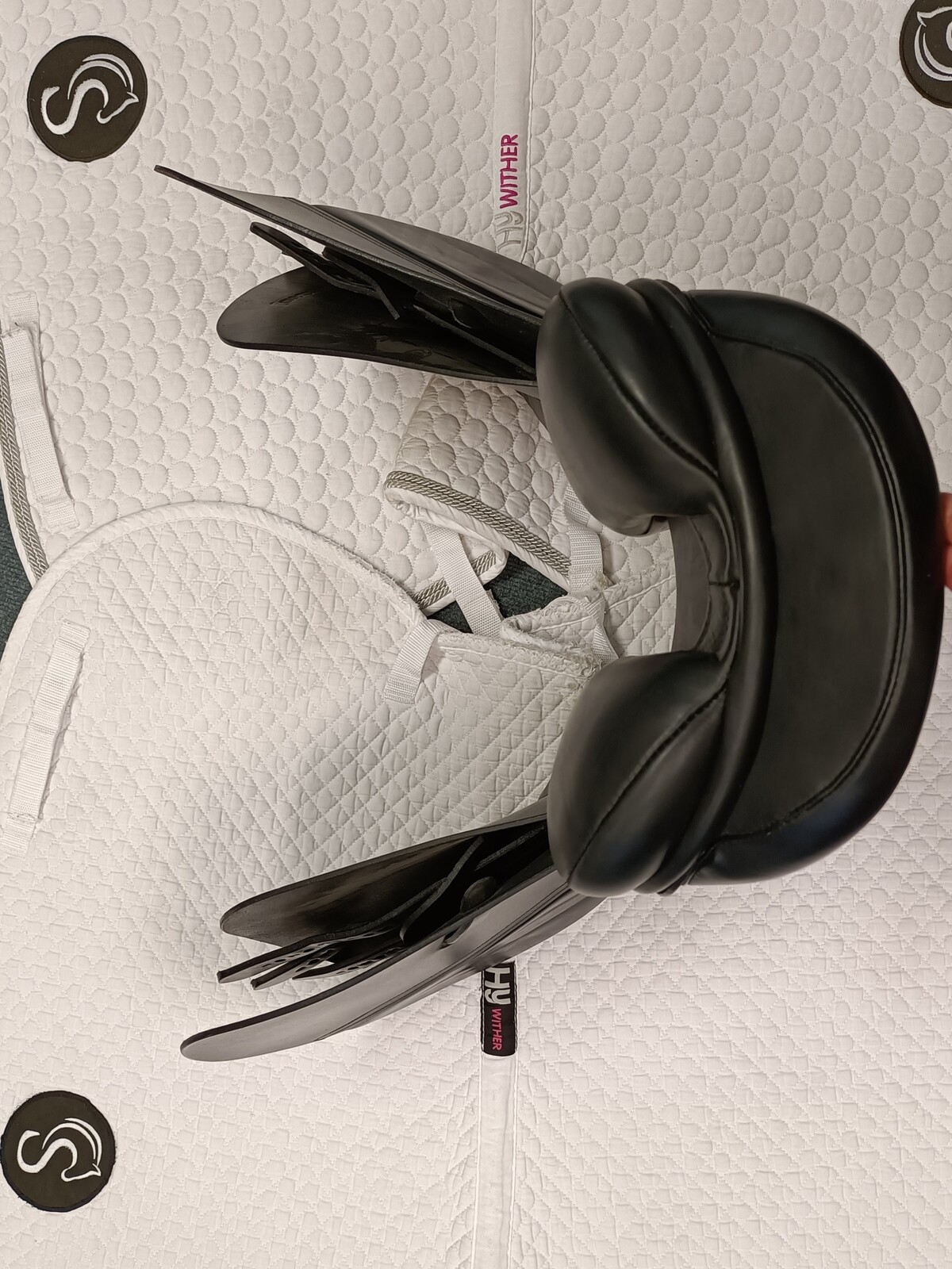 Selle Mixte Collegiate GP – 16,5 Pouces – Cuir Noir – Neuf – Polyvalente Cheval