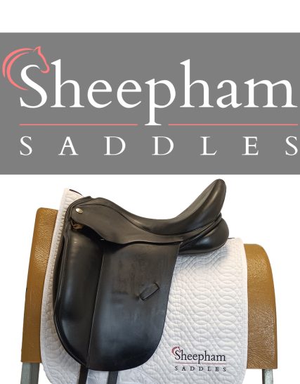 Dressage Saddles Used and Second Hand